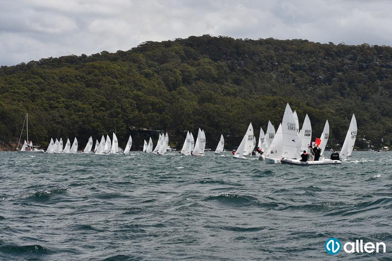 Allen Flying 11 NSW State Championship photo copyright Mel Yeomans taken at Bayview Yacht Racing Association and featuring the Flying 11 class