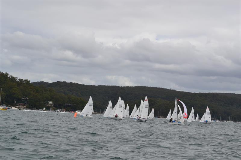 Allen Flying 11 NSW State Championship photo copyright Mel Yeomans taken at Bayview Yacht Racing Association and featuring the Flying 11 class