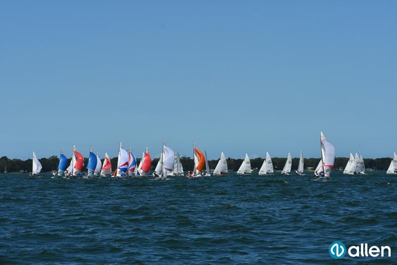 Fleet shot - Allen NSW Flying 11 Championships 2021 photo copyright Mel Yeomans at Deck Hardware / Australian Flying 11 Association taken at Port Kembla Sailing Club and featuring the Flying 11 class