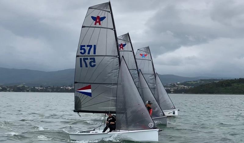 52nd Australian Flying Ant National Championships photo copyright Adam Beashel taken at Illawarra Yacht Club and featuring the Flying Ant class