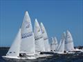 2022 Flying Fifteen Victorian State Championship © Christie Arras