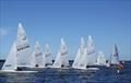 2022 Flying Fifteen Victorian State Championship © Christie Arras