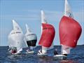 2022 Flying Fifteen Victorian State Championship © Christie Arras
