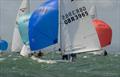 Flying Fifteen racing in Hayling Bay  © Peter Hickson
