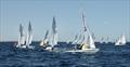  Flying 15 Worlds at Fremantle, West Australia day 3