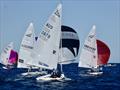  Flying 15 Worlds at Fremantle, West Australia day 3