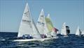  Flying 15 Worlds at Fremantle, West Australia day 3