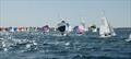  Flying 15 Worlds at Fremantle, West Australia day 3