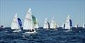  Flying 15 Worlds at Fremantle, West Australia day 3