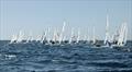 © Regatta Services Flying 15 Worlds at Fremantle, West Australia day 5 © Regatta Services