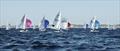 © Regatta Services Flying 15 Worlds at Fremantle, West Australia day 5 © Regatta Services