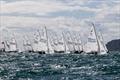 © Phil Jackson / Digital Sailing