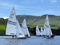 © Nik Lever Dovestone Flying Fifteen Open © Nik Lever