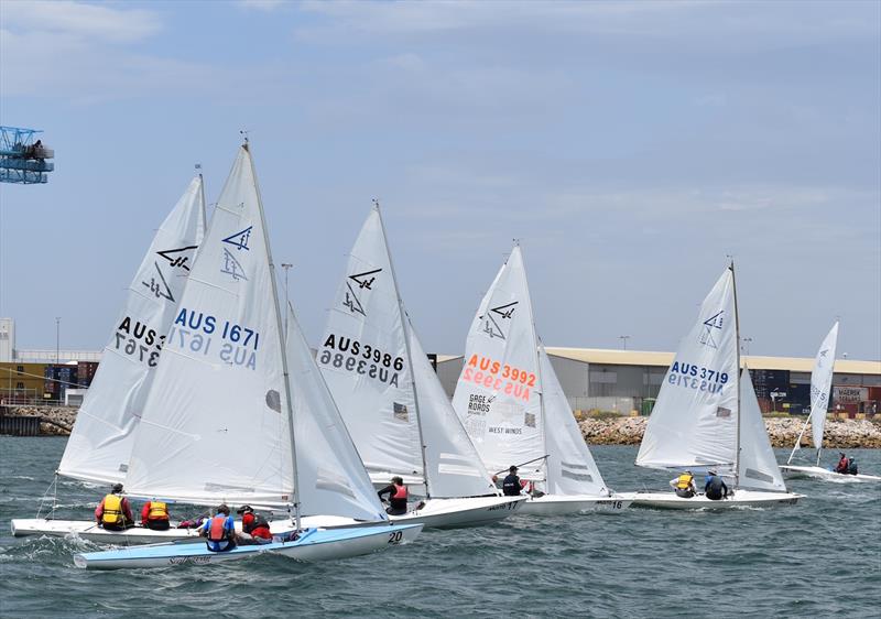 2019 Flying Fifteen Australian Nationals final day - photo © Chris Mandalov