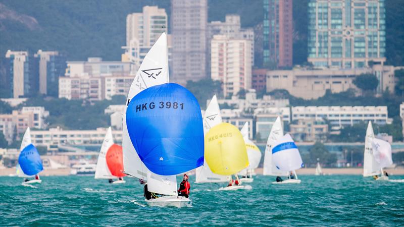 Hong Kong Flying Fifteen Class Championship 2020 - photo © Panda Man / Takumi Images