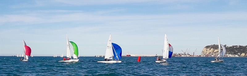 2021 New Zealand Flying Fifteen National Championship photo copyright Tim McVeag taken at Napier Sailing Club and featuring the Flying Fifteen class