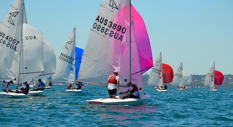 Flying Fifteen Australian Championships at Mornington YC - Day 4 photo copyright Sonja Dowdle taken at Mornington Yacht Club and featuring the Flying Fifteen class