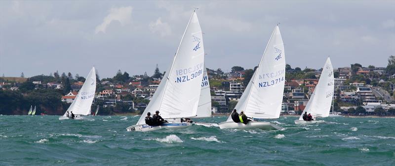2019 Flying Fifteen New Zealand National Championships photo copyright Chris Fields taken at Royal Akarana Yacht Club and featuring the Flying Fifteen class