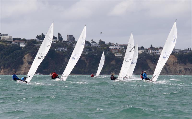 2019 Flying Fifteen NZ Nationals - Royal Akarana Yacht Club, February 2019 - photo © Chris Field