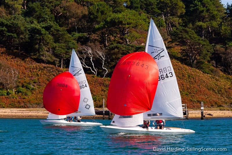 Bournemouth Digital Poole Week 2019 day 6 photo copyright David Harding / www.sailingscenes.com taken at Parkstone Yacht Club and featuring the Flying Fifteen class