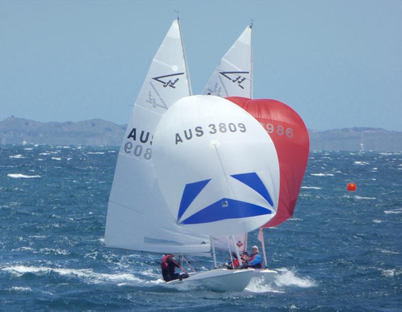 Neffarious v Ineffable - 2020 Tally Hobbs Memorial Regatta photo copyright Jonny Fullerton taken at Royal Freshwater Bay Yacht Club and featuring the Flying Fifteen class