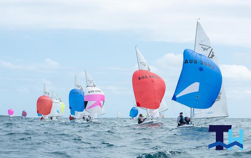 Flying Fifteen World and Australian Championships photo copyright Thomas Hodge taken at Royal Freshwater Bay Yacht Club and featuring the Flying Fifteen class