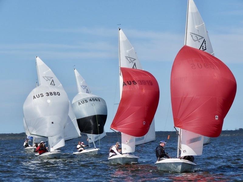 2022 Flying Fifteen Victorian State Championship - photo © Christie Arras