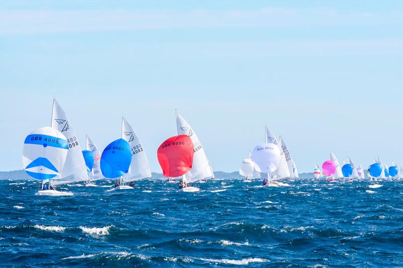 Flying 15 Australian Championship & Worlds Invitational Race 2023 - photo © Lisa Smith