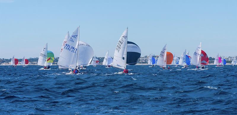 Flying 15 Australian Championship & Worlds Invitational Race 2023 - photo © Lisa Smith