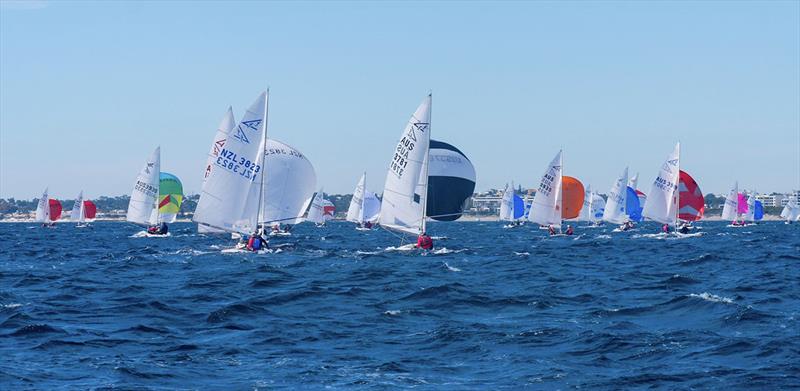 Flying 15 Australian Championship & Worlds Invitational Race 2023 photo copyright Lisa Smith taken at Royal Freshwater Bay Yacht Club and featuring the Flying Fifteen class