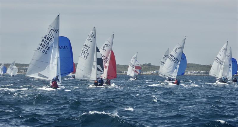 Flying 15 Australian Championship Day 1 - photo © Regatta Services