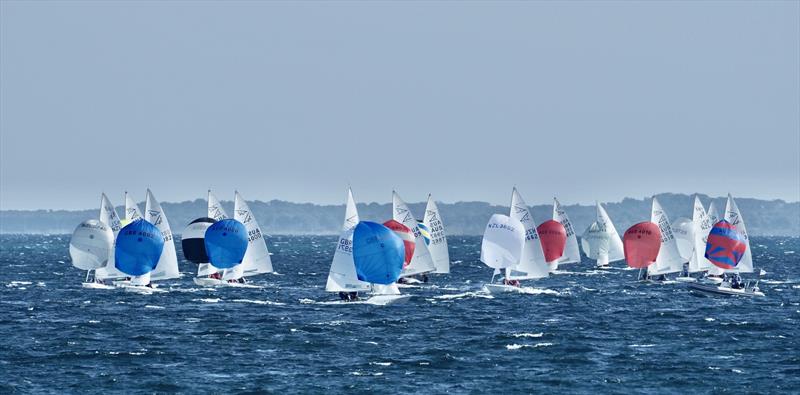 Flying 15 Australian Championship Day 2 photo copyright Lyndsay Preece taken at Royal Freshwater Bay Yacht Club and featuring the Flying Fifteen class