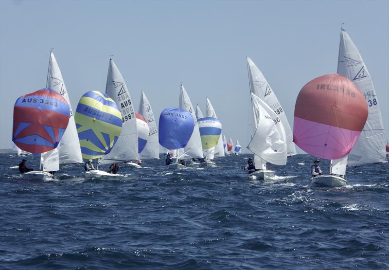 Flying 15 Australian Championship Day 3 - photo © Regatta Services