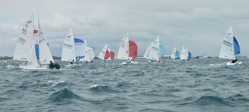 Fleet downwind - Flying 15 Australian Championship 2023 photo copyright Regatta Services taken at Royal Freshwater Bay Yacht Club and featuring the Flying Fifteen class