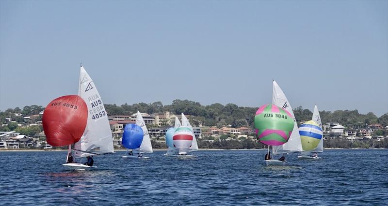 David Yu and Chris Nelson - Tally Hobbs Regatta 2024 - photo © George Vaskovics / RFBYC