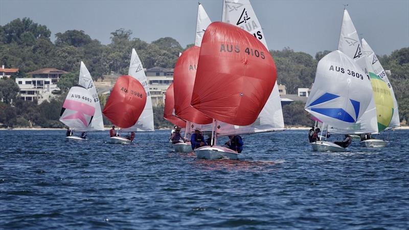 Nick Jerwood and Brad Sheridan - Tally Hobbs Regatta 2024 photo copyright George Vaskovics / RFBYC taken at Royal Freshwater Bay Yacht Club and featuring the Flying Fifteen class