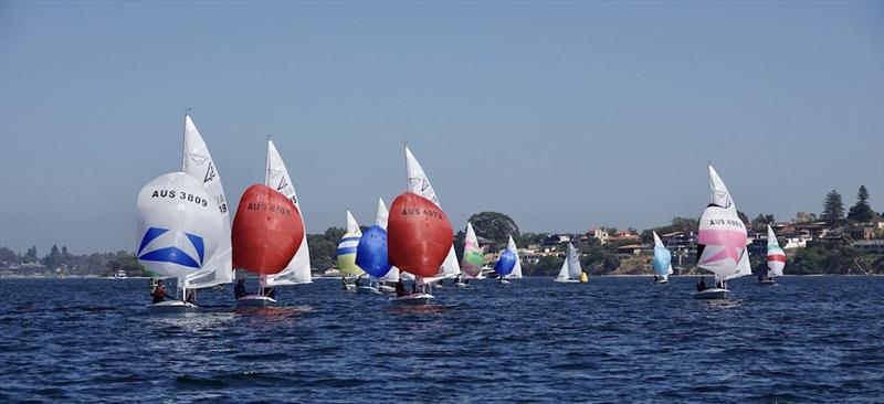 Hamish Carnachan and Peter Mudford - Tally Hobbs Regatta 2024 - photo © George Vaskovics / RFBYC