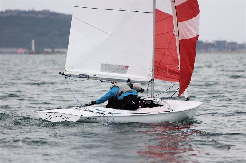 NZL 3739 mid gybe during Race 5 on day 3 of the 2025 Flying Fifteen Worlds at the WPNSA - photo © Mark Jardine
