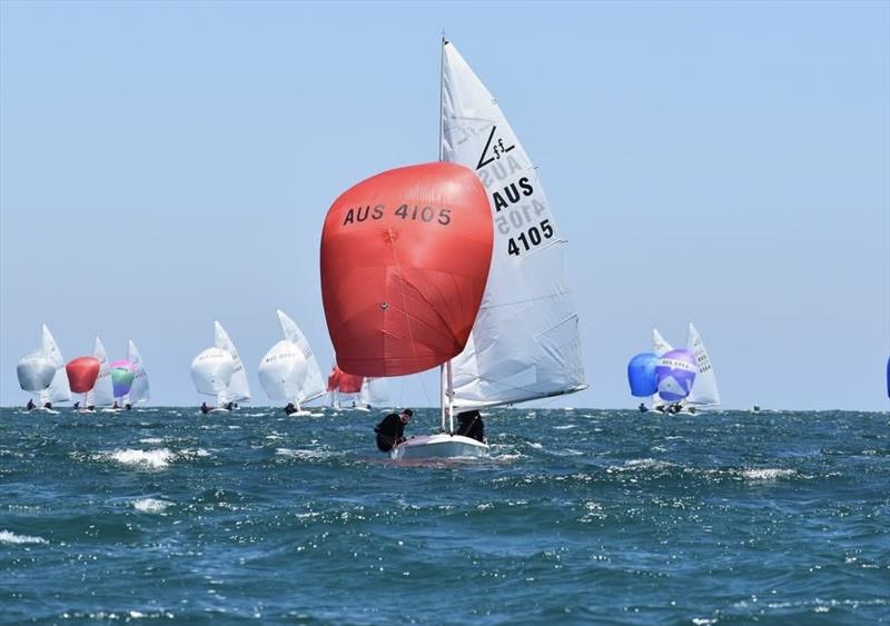 Jerwoods - 2026 Flying 15 Australian National Championship - photo © Russell Dawes