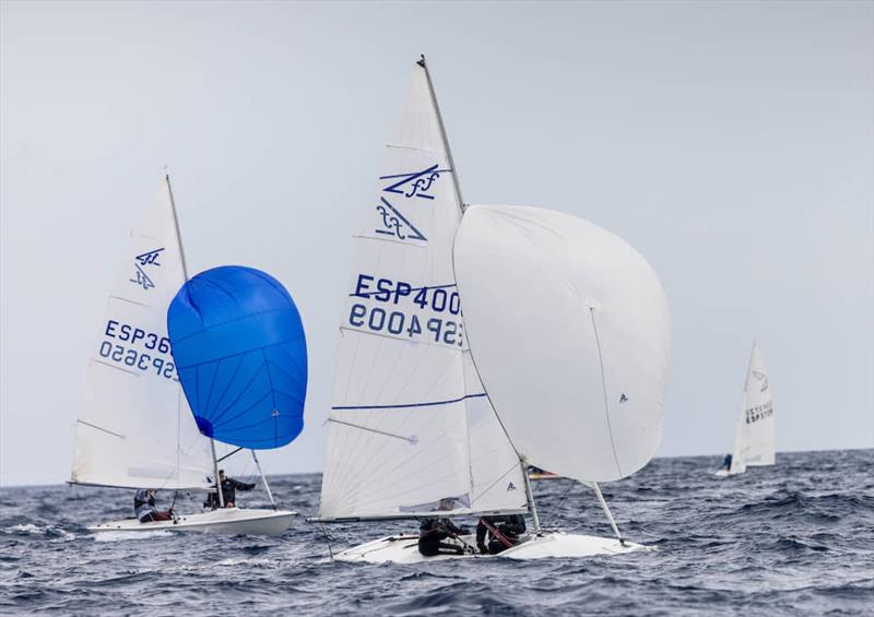 Flying 15 fleet compete in the Palma Vela photo copyright RNCP taken at Real Club Náutico de Palma and featuring the Flying Fifteen class