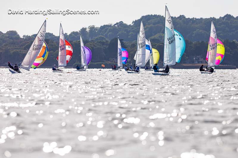 Flying Fifteens, Poole Week 2026, In Association With Haven Knox-Johnston, Day 4 photo copyright David Harding / www.sailingscenes.com taken at Parkstone Yacht Club and featuring the Flying Fifteen class