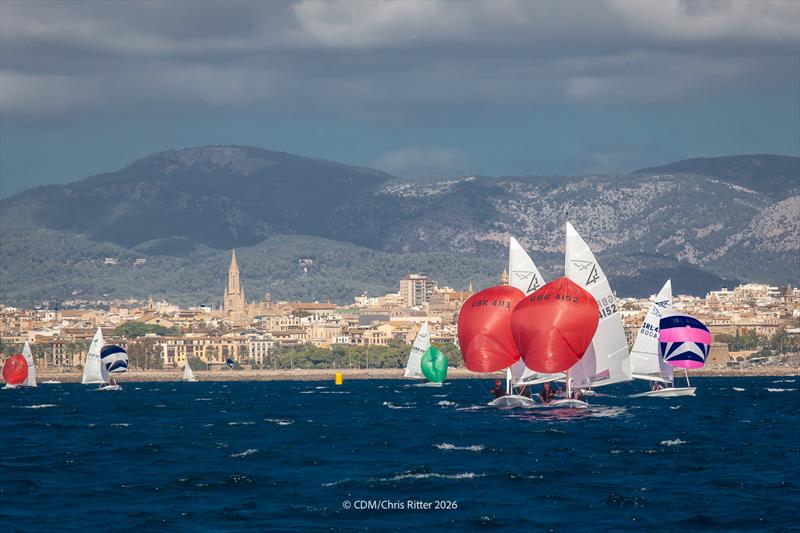 Day 1 - Flying Fifteen Europeans in Palma - photo © Chris Ritter / CDM