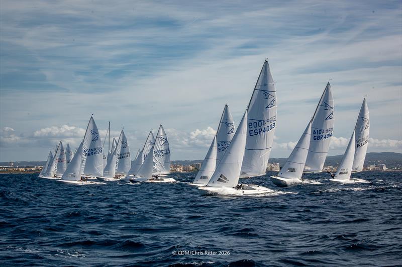 Day 1 - Flying Fifteen Europeans in Palma - photo © Chris Ritter / CDM