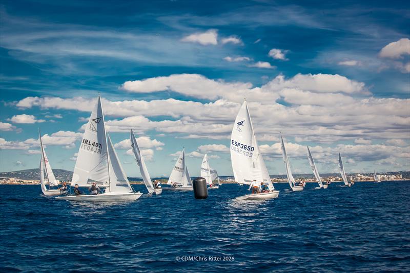 Flying Fifteen Europeans in Palma Day 4 photo copyright Chris Ritter / CDM taken at Club de Mar-Mallorca and featuring the Flying Fifteen class