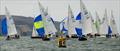 Folkboat Week 2025 &copy; Andrea Kozak