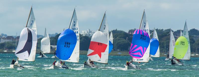 Folkboats at Lymington photo copyright David Gredley taken at Royal Lymington Yacht Club and featuring the Folkboat class