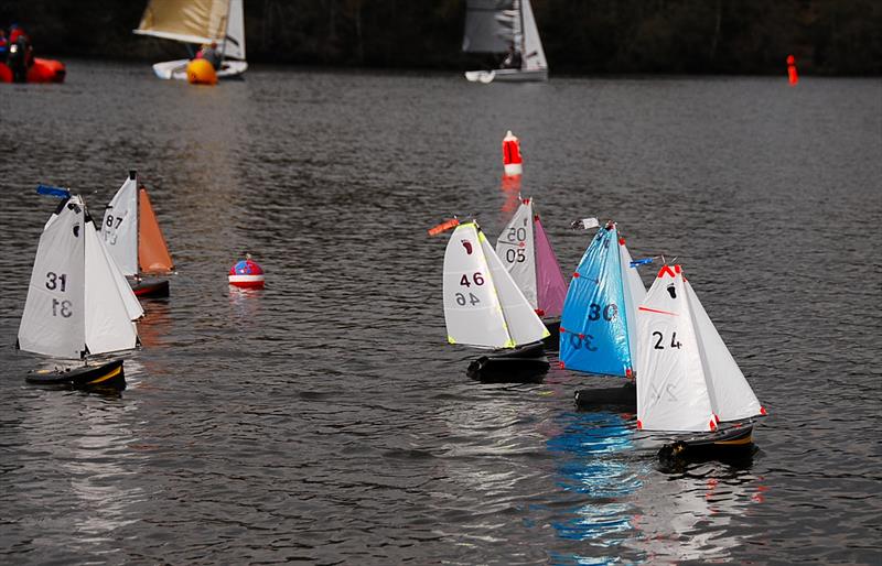 Local sailor Graham Whitehead 24 off with the best start (Larks in the background) - Videlo Globe (Footy class at Frensham) photo copyright Roger Stollery taken at Frensham Pond Sailing Club and featuring the Footy class