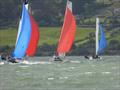 Irish Open Multihull Championship at Carlingford © Lou Ann Crowcroft / Diarmuid Gorman