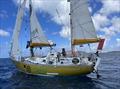 © Golden Globe Race