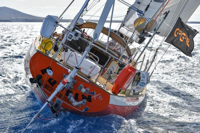 Istvan Kopar's Tradewind 35 Puffin, now heading for the Cape Verde Islands to replace the self steering system - photo © Christophe Favreau / PPL / GGR